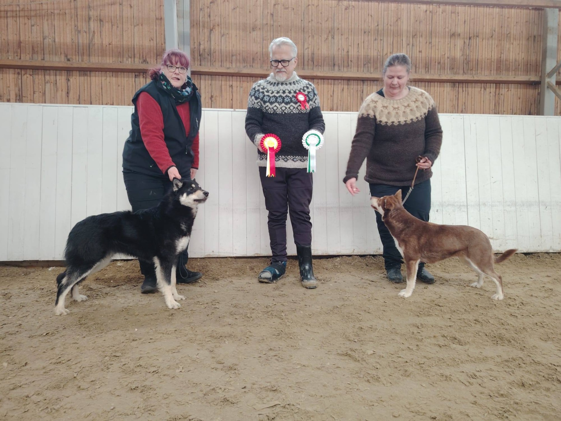 ROP Tinttaraisen Yks Mustangi VSP Wild Whisper's Mini Muffin